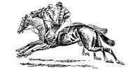 Guide to Wagering on Horse Race